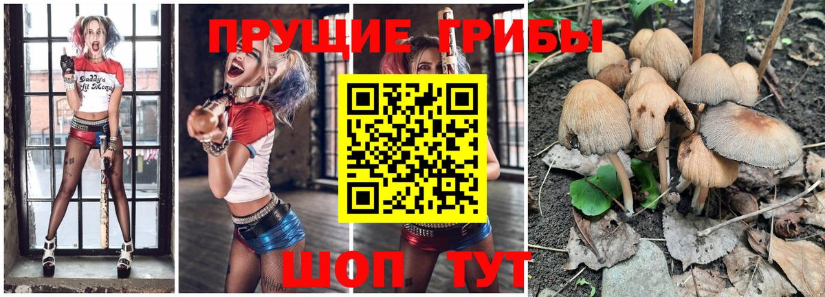 Галлюциногенные грибы прущие грибы  Вход с VPN  Котлас  Галлюциногенные грибы Cubensis 